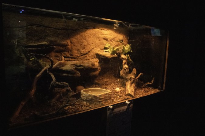 Woodbridge Aquarium & Wildlife