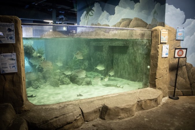 Woodbridge Aquarium & Wildlife