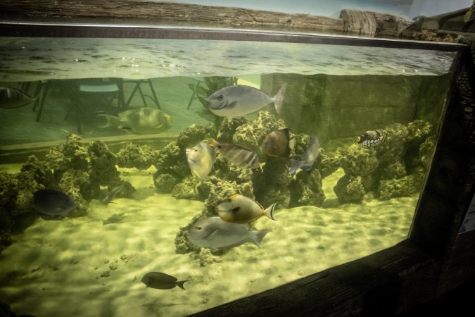 Woodbridge Aquarium & Wildlife