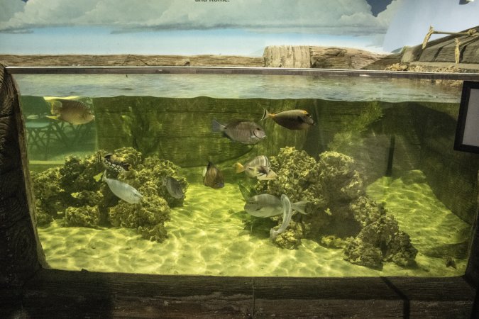 Woodbridge Aquarium & Wildlife