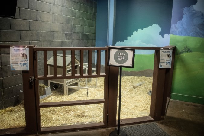 Woodbridge Aquarium & Wildlife