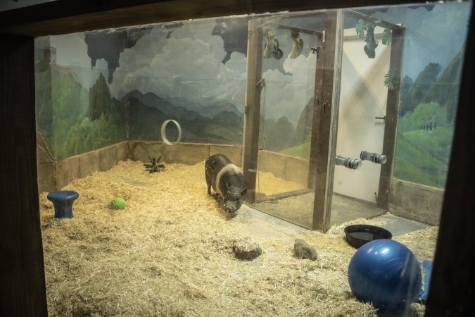 Woodbridge Aquarium & Wildlife