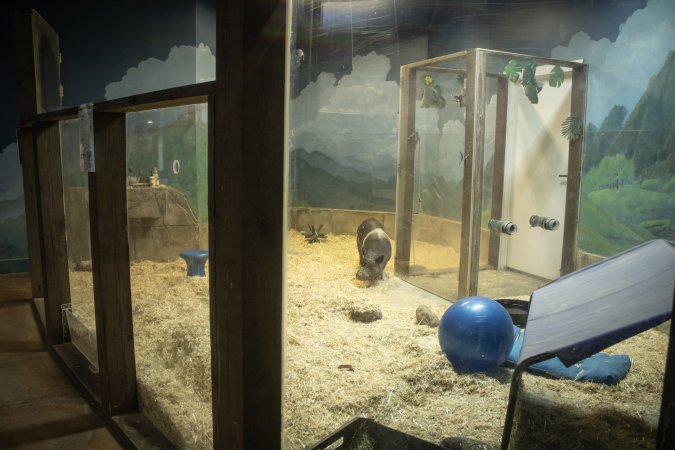 Woodbridge Aquarium & Wildlife
