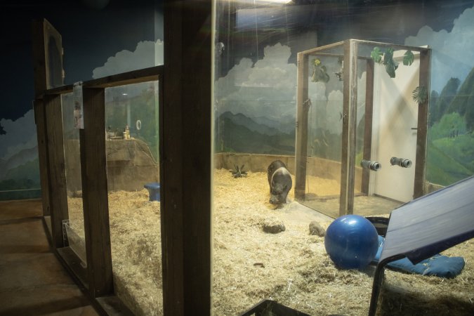 Woodbridge Aquarium & Wildlife