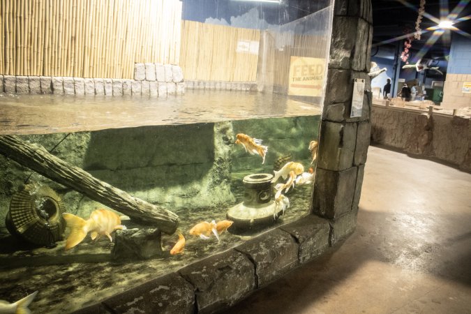 Woodbridge Aquarium & Wildlife