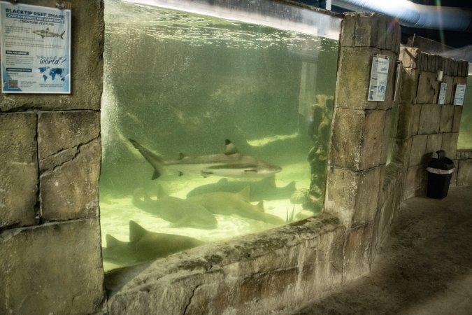 Woodbridge Aquarium & Wildlife