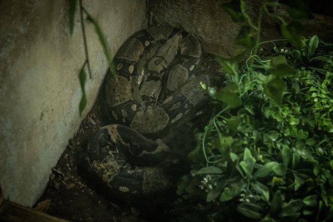 Woodbridge Aquarium & Wildlife