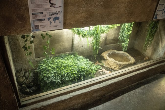 Woodbridge Aquarium & Wildlife