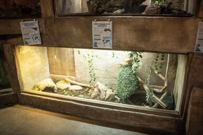 Woodbridge Aquarium & Wildlife
