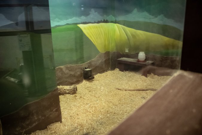 Woodbridge Aquarium & Wildlife