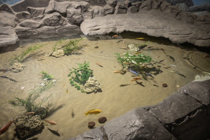 Woodbridge Aquarium & Wildlife