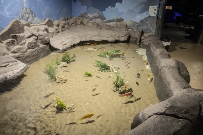 Woodbridge Aquarium & Wildlife