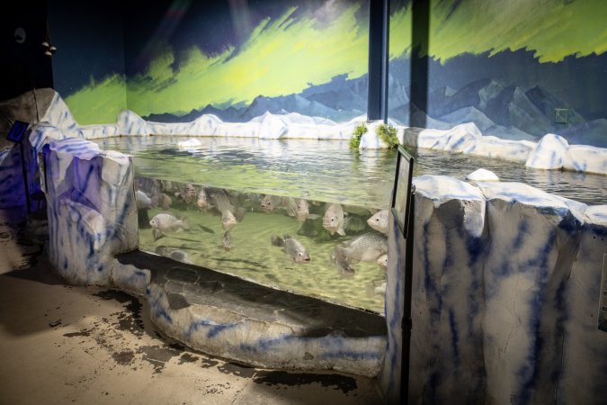 Woodbridge Aquarium & Wildlife