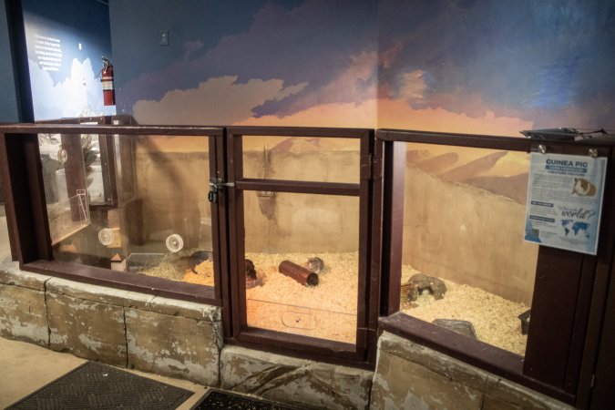 Woodbridge Aquarium & Wildlife