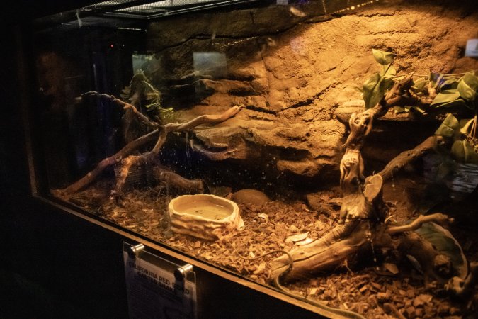 Woodbridge Aquarium & Wildlife