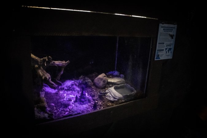 Woodbridge Aquarium & Wildlife