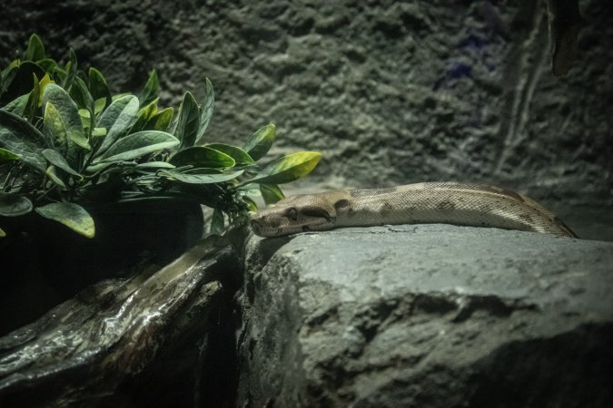 Woodbridge Aquarium & Wildlife