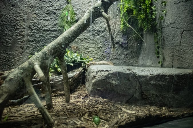 Woodbridge Aquarium & Wildlife