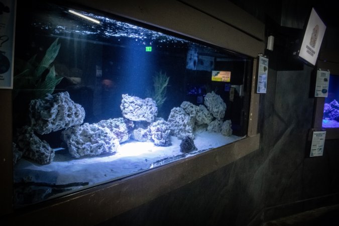 Woodbridge Aquarium & Wildlife