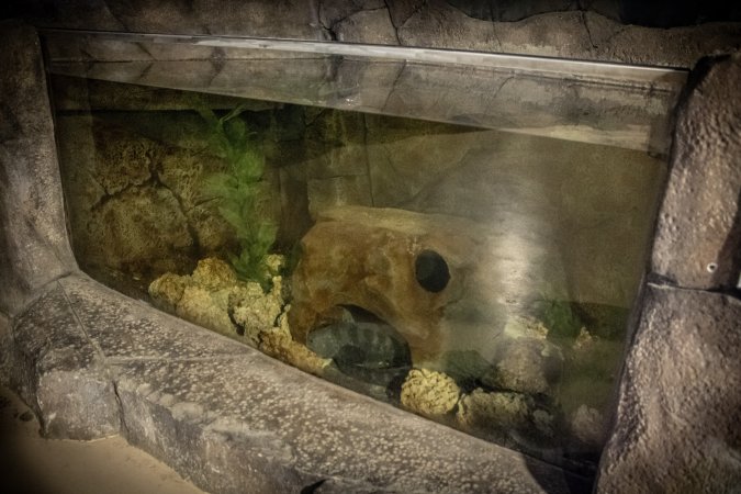 Woodbridge Aquarium & Wildlife