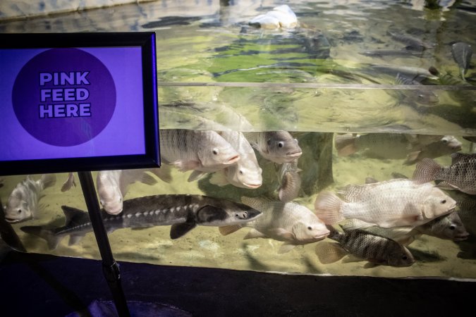 Woodbridge Aquarium & Wildlife