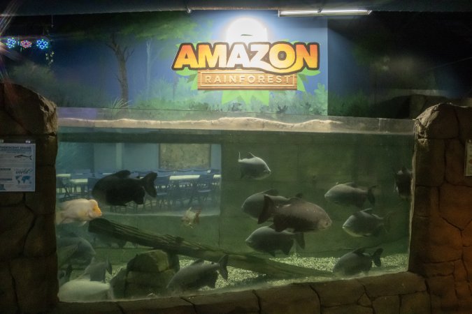 Woodbridge Aquarium & Wildlife