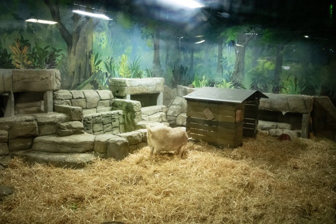 Woodbridge Aquarium & Wildlife