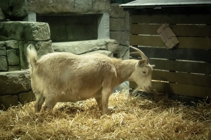 Woodbridge Aquarium & Wildlife