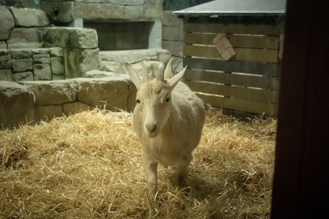 Woodbridge Aquarium & Wildlife