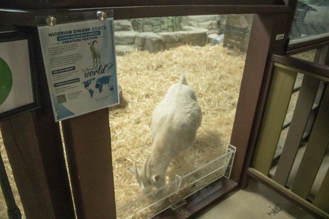 Woodbridge Aquarium & Wildlife
