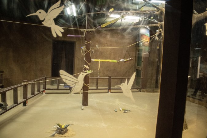 Woodbridge Aquarium & Wildlife