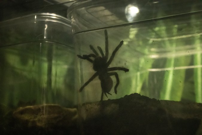 Woodbridge Aquarium & Wildlife