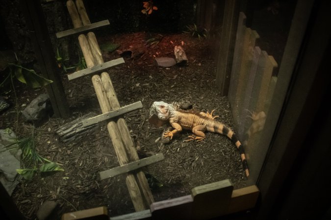 Woodbridge Aquarium & Wildlife