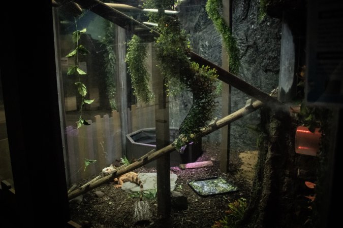 Woodbridge Aquarium & Wildlife