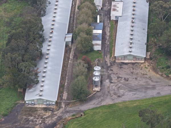 Drone flyover