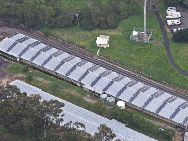 Drone flyover