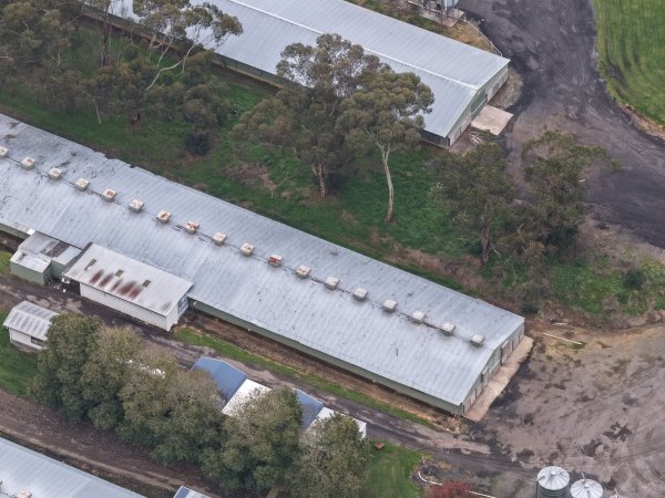Drone flyover