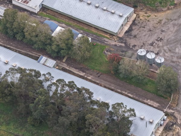 Drone flyover