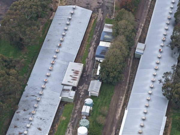 Drone flyover