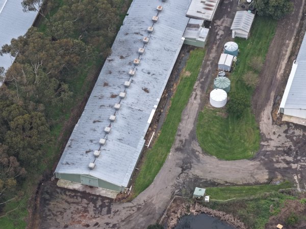 Drone flyover