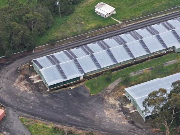 Drone flyover