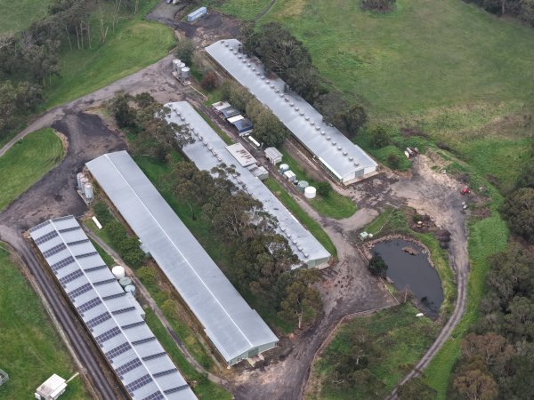 Drone flyover