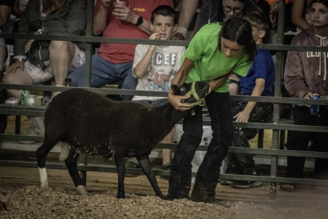 Cumberland County 4-H Fair & Livestock Auction