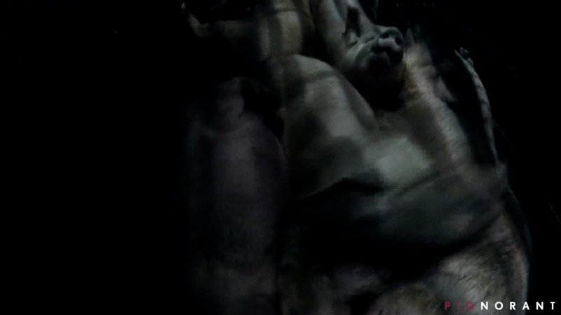 Pilgrim Pride's Gas Chamber