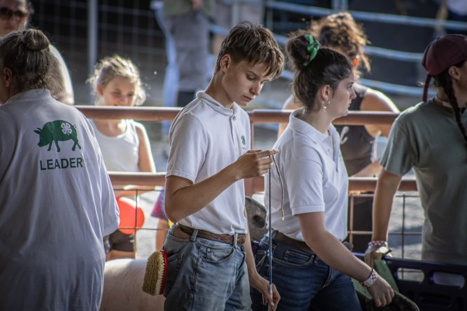 New Jersey State Fair 2026