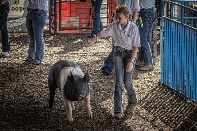 New Jersey State Fair 2026