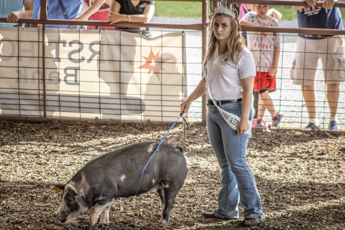 New Jersey State Fair 2026
