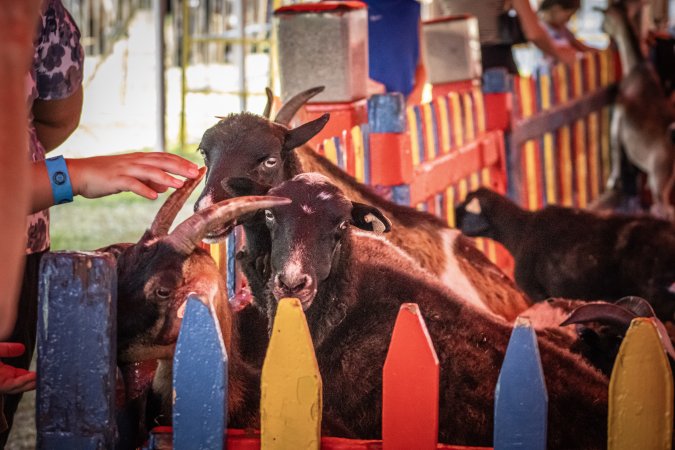 New Jersey State Fair 2026