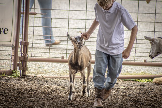 New Jersey State Fair 2026