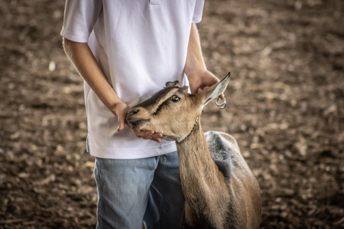 New Jersey State Fair 2026